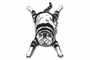 Sleeping Cat Spread Out Embroidery Design