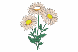 Triple Daisy Bloom Embroidery Design