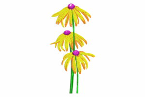 Triple Yellow Coneflower Embroidery Design