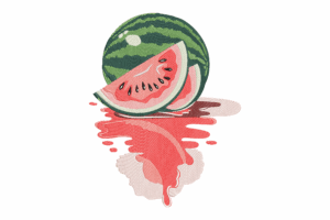 Watermelon Slice Embroidery Design
