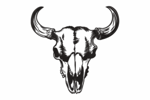 Western Bull Skull Embroidery Design