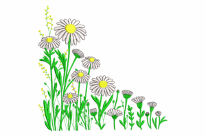 Wild Daisy Corner Floral Embroidery Design