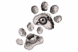 Animal Eye in Paw Print Embroidery Design