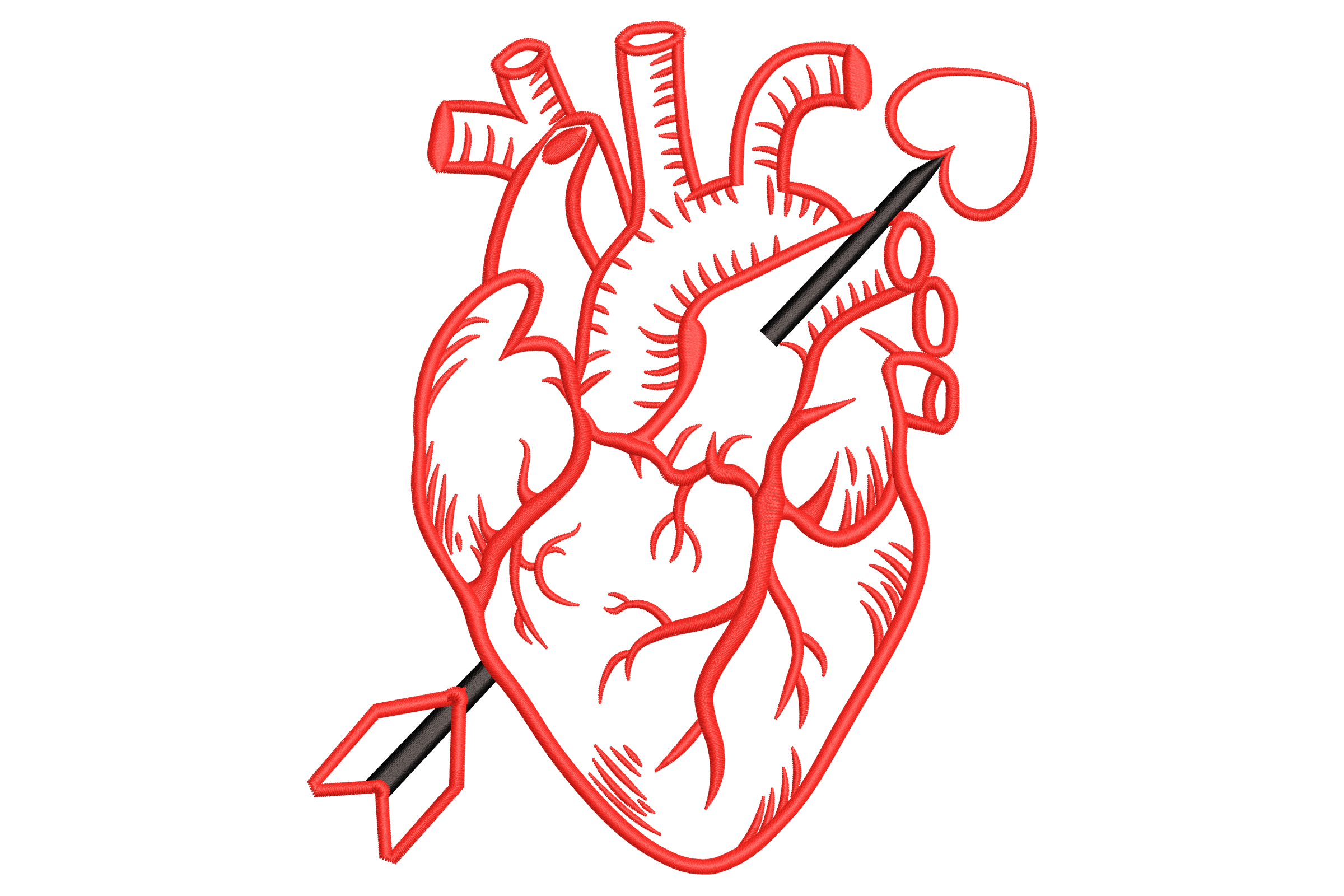 Anatomical Heart with Cupid Arrow Embroidery Design