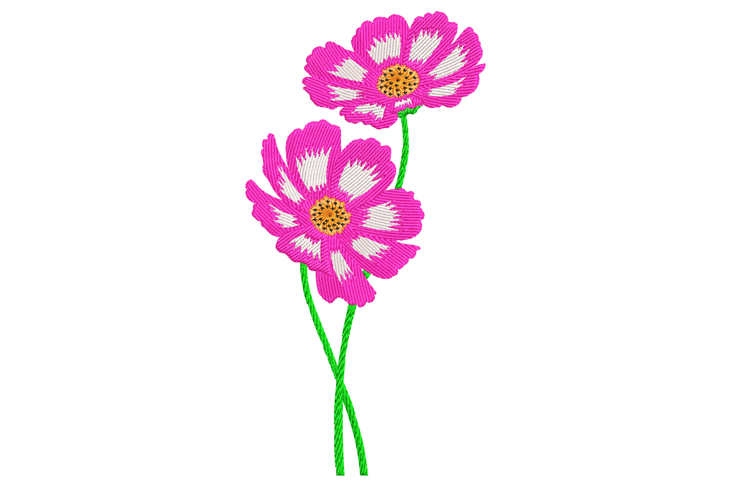 Bright Cosmos Flower Embroidery Design