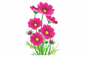 Bright Pink Cosmos Flower Embroidery Design