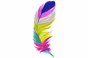 Colorful Feather Embroidery Design