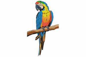 Colorful Parrot on Branch Embroidery Design