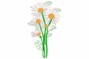 Daisy Bouquet Embroidery Design