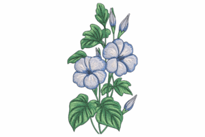 Delicate Morning Glory Embroidery Design