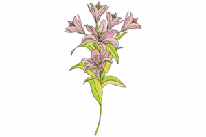 Elegant Lily Flower Bouquet Embroidery Design