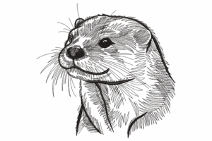 Elegant Otter Head Sketch Embroidery Design