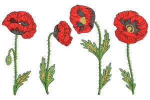 Elegant Poppy Flower Embroidery Design