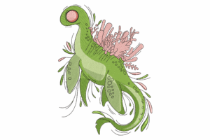 Fantasy Sea Dinosaur Embroidery Design