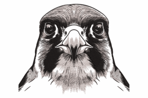 Hawk Head Embroidery Design