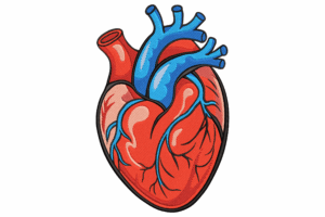 Human Heart Embroidery Design