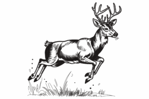 Jumping Deer Embroidery Design