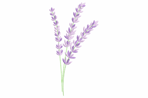 Lavender Stems Embroidery Design