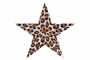 Leopard Print Star Embroidery Design