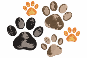 Multicolor Paw Prints Embroidery Design