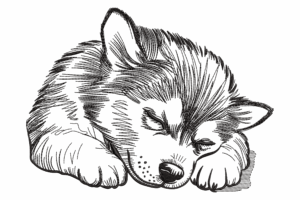 Peaceful Sleeping Puppy Embroidery Design