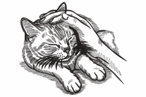 Petting Cat Embroidery Design