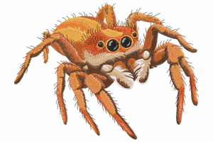 Premium Realistic Spider Embroidery Design