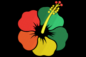 Rainbow Hibiscus Flower Embroidery Design