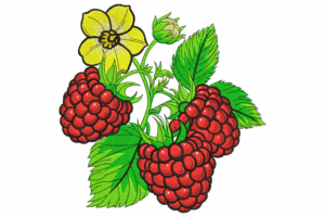 Raspberry Fruit with Flower Embroidery Design