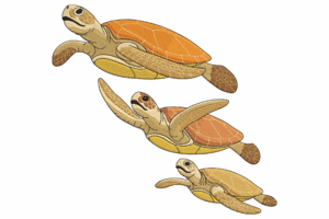 Sea Turtle Trio Embroidery Design