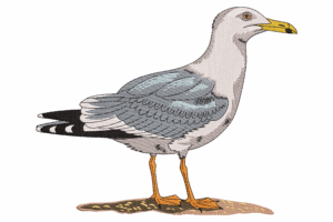 Seagull Standing Embroidery Design