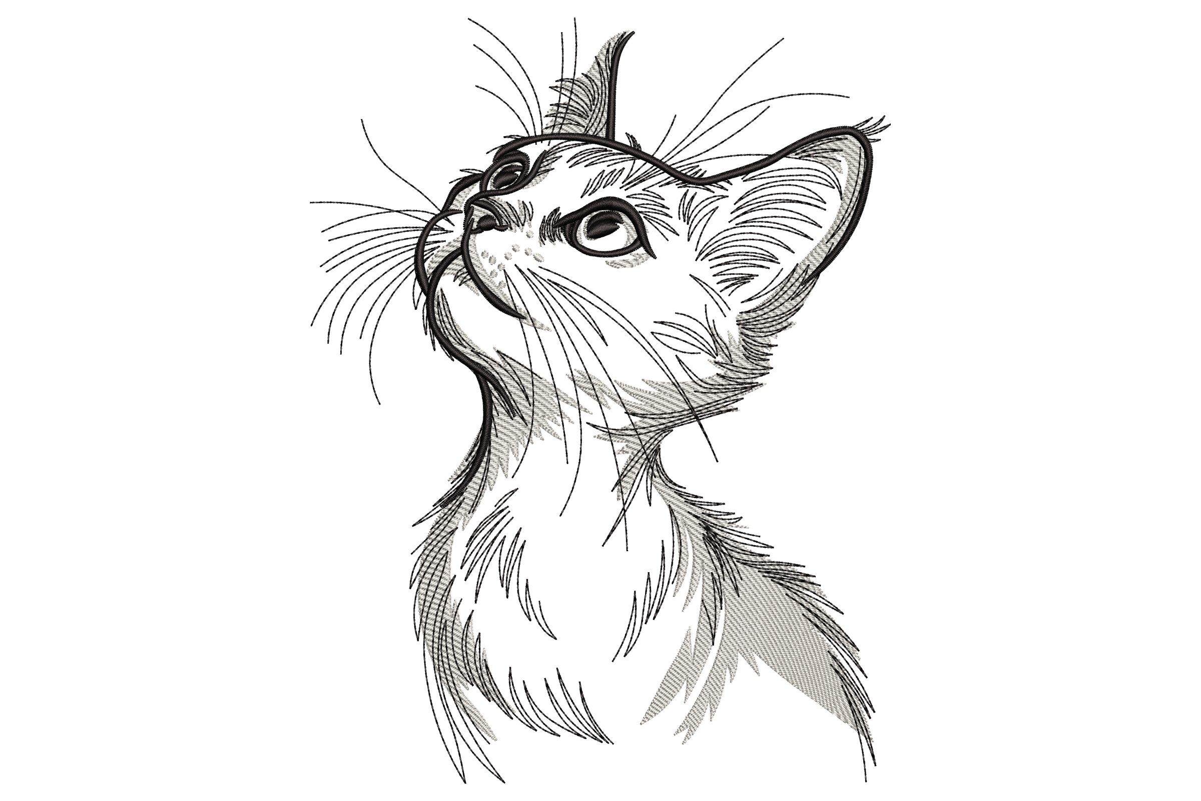 Sketched Cat Looking Up Embroidery Design