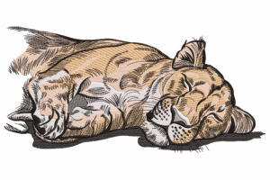 Sleeping Lioness Embroidery Design