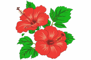 Tropical Hibiscus Flower Machine Embroidery Design
