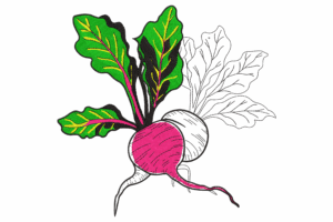 Vibrant Beetroot Embroidery Design