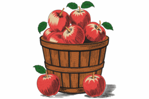 Apple Basket Embroidery Design