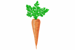 Carrot Embroidery Design