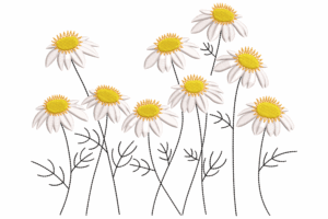 Chamomile Daisy Flowers Embroidery Design