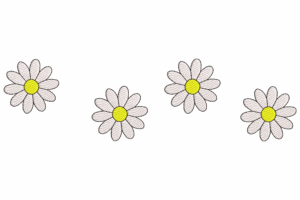 Daisy Flower Border Embroidery Design