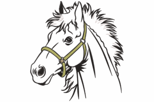 Horse Head Outline Machine Embroidery Design