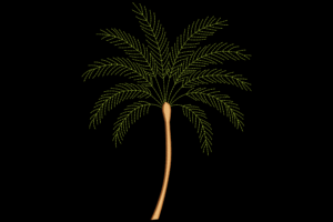Palm Tree Embroidery Design