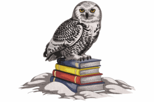 Snowy Owl with Books Embroidery Design