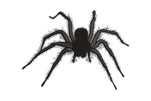 Spider Embroidery Design