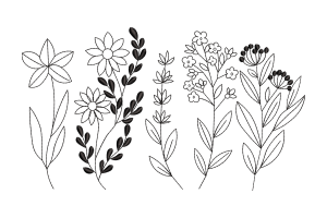 Floral Outline Embroidery Design