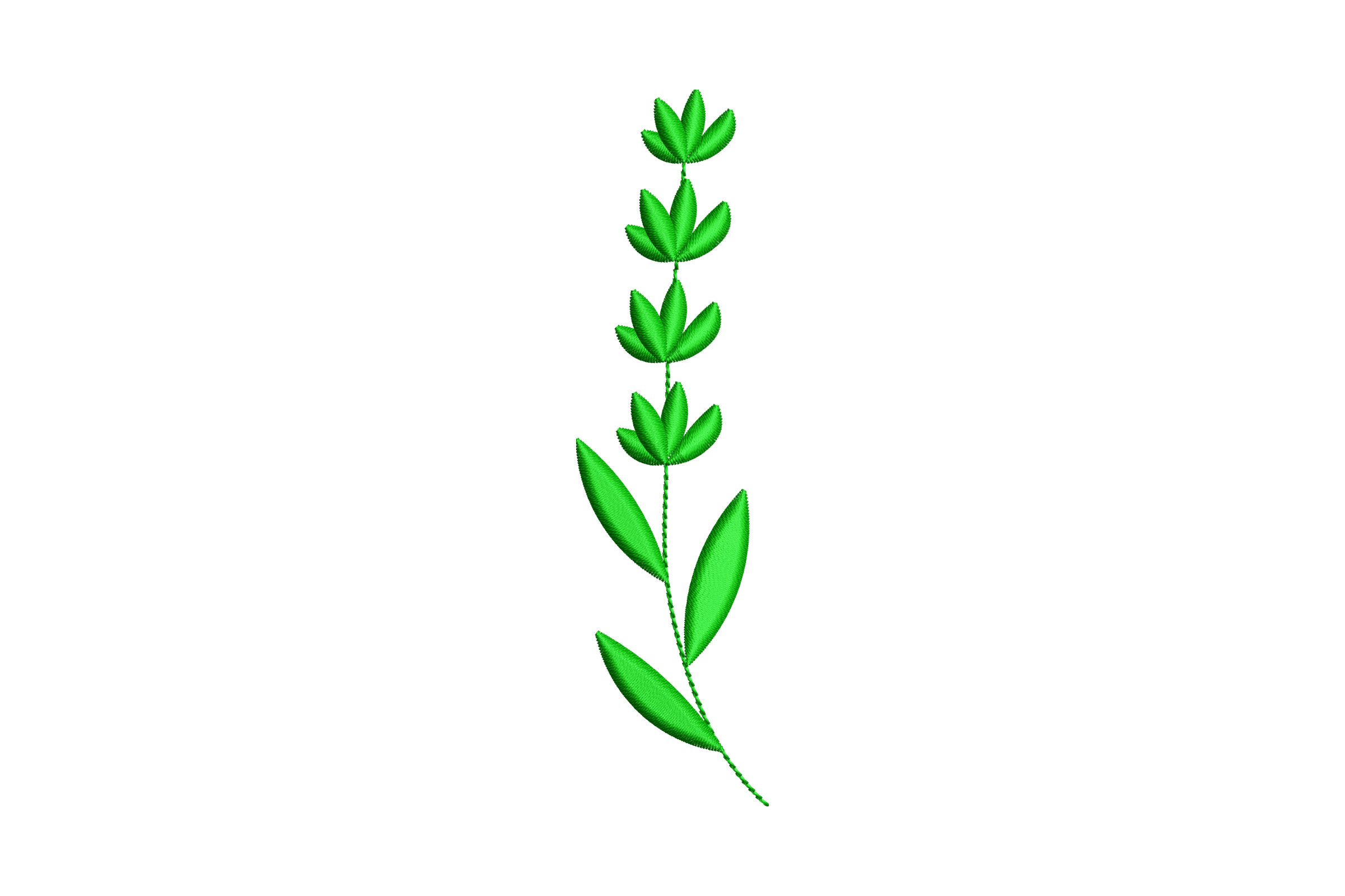 Green Stem for Floral Embroidery Design