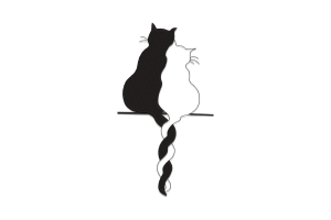 Two Cats Sitting Together Embroidery Design