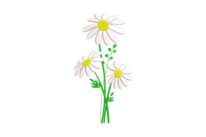 Free Elegant Daisy Embroidery Design