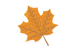 Golden Maple Leaf Machine Embroidery Design