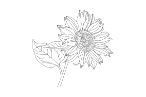 Free Floral Elegance Embroidery Design