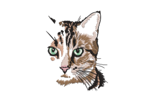 Adorable Cat Embroidery Design